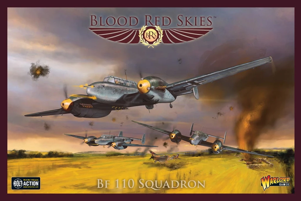 BF 110 SQUADRON.jpg
