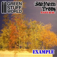 seafoam-trees-mix 2.jpg