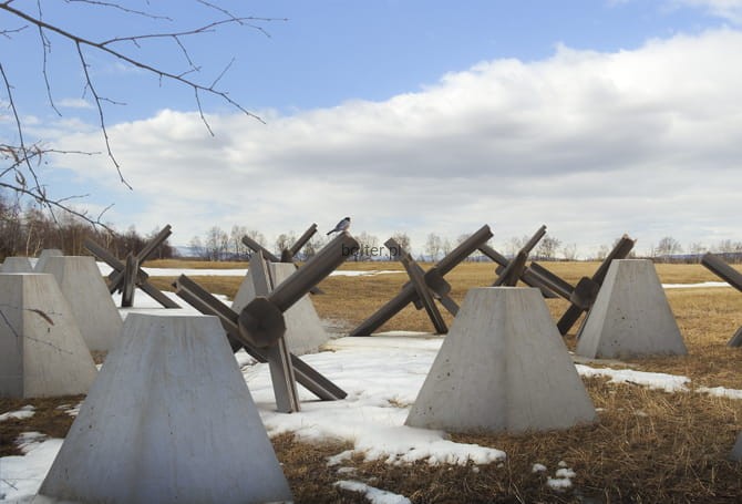 DRAGONS TEETH & CZECH HEDGEHOGS.jpg