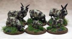 938eafb1632e03e31c10a620eddfaafa