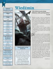 str-48-Witcher.jpg