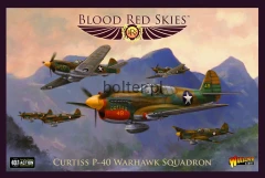 Curtiss P-40 Warhawk Squadron.jpg