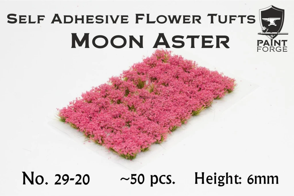 29-20 Moon Aster Flowers.jpg