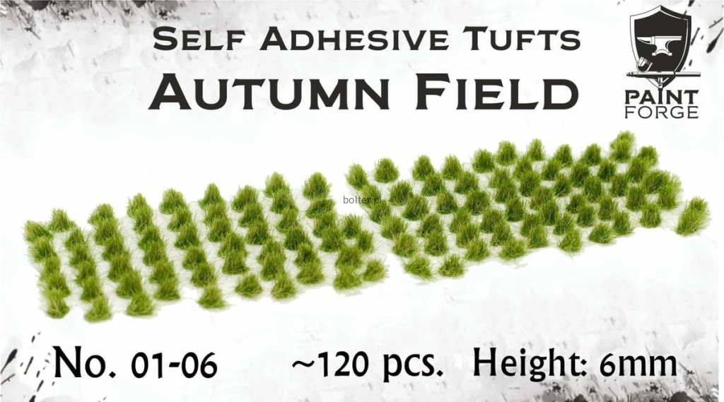 PAINT FORGE 01-06.jpg