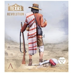 tejano-volunteer-seguin-s-company3.jpg