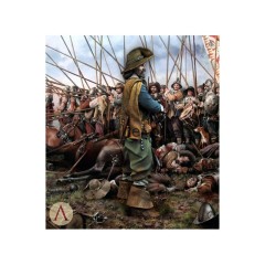 spanish-musketeer-rocroi-16434.jpg