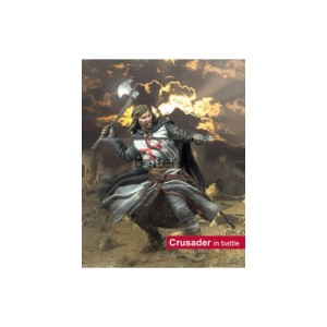 Crusader in Battle