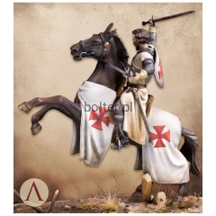 knight-templar-13th-century3.jpg