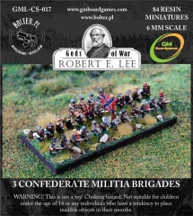 GML-CS-017 3 Confederate Militia Brigades.jpg