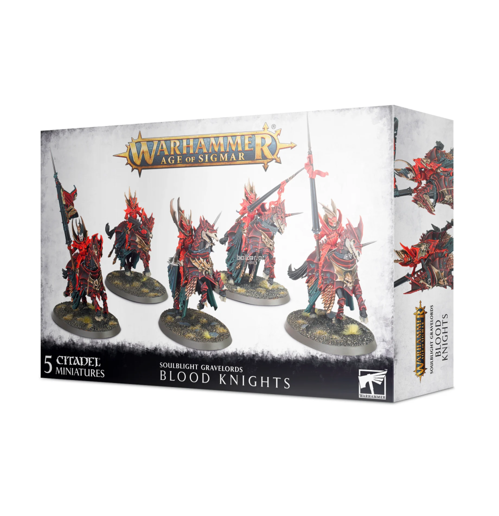 TR91-42-99120207095-Soulblight Gravelords -Blood Knights.png