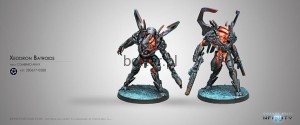 XEODRON BATROIDS
