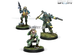 asp2.png