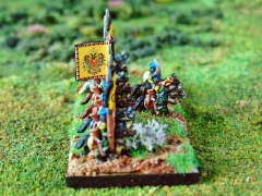 austriaccywybrane (2).JPG