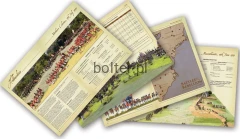 3fee528b0efe427361cdc873c397a8af