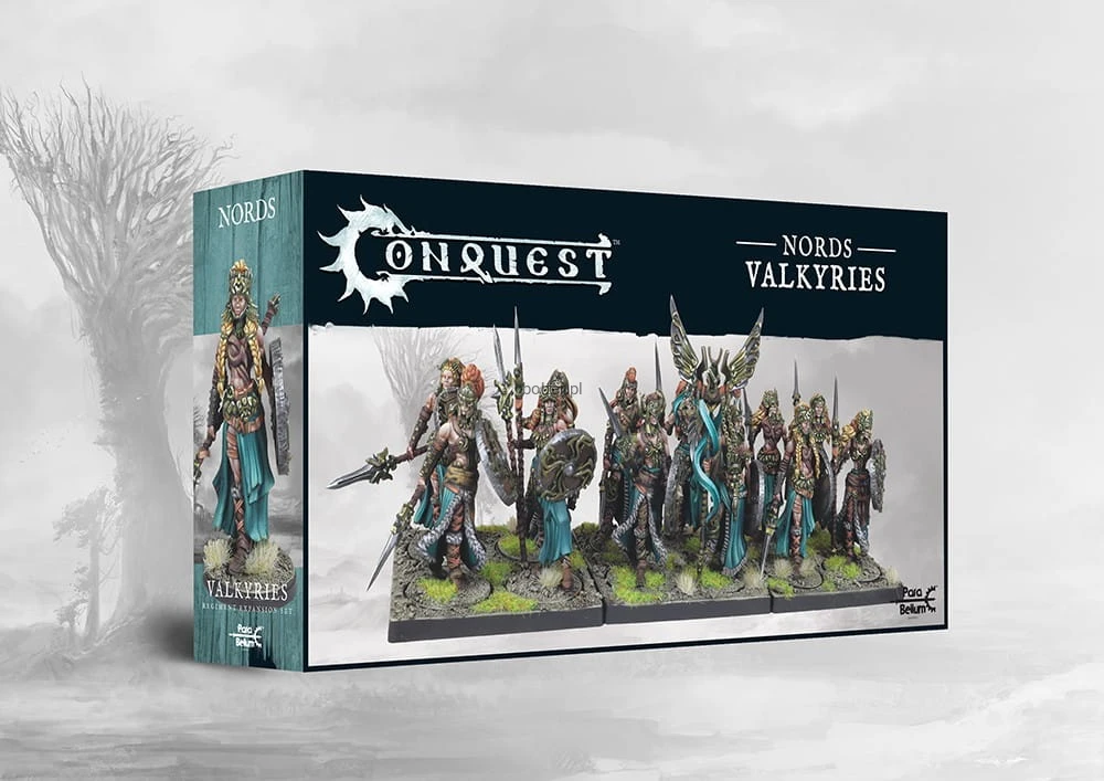 nords-valkyries.jpg