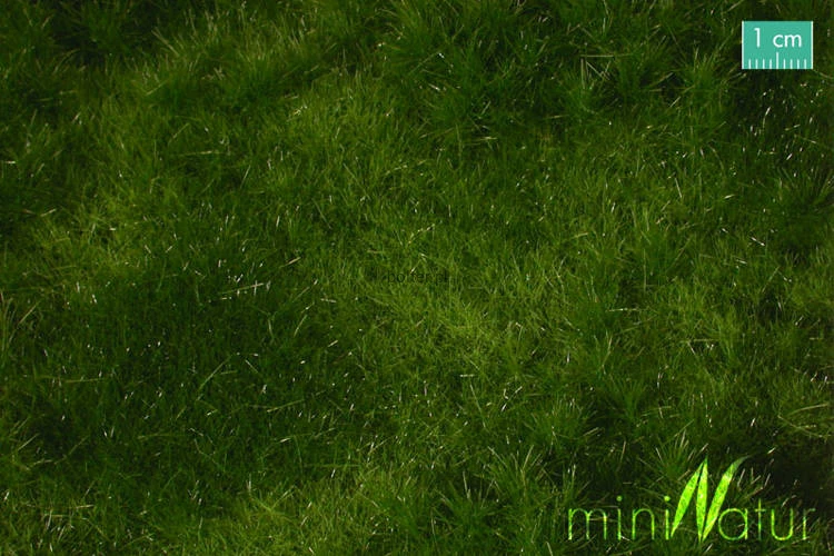 23251_1.jpg