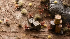 diorama_red-aloe_1_1600x900.jpg