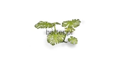 gamers-grass-laser-plants-monstera-zawartosc.jpg