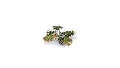 gamers-grass-laser-plants-monstera-zawartosc-3.jpg
