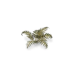 gamers-grass-laser-plants-bracken-paproć-zawartosc.jpg
