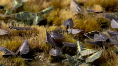 diorama_black-magic-taro_1600x900.jpg