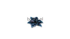 gamers-grass-laser-plants-alien-rosette-kosmiczna-rozeta-zawartosc.jpg