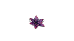 gamers-grass-laser-plants-alien-rosette-kosmiczna-rozeta-zawartosc-3.jpg