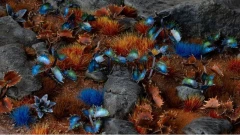 Gamersgrass-laser-plants-alien-flytrap.jpg