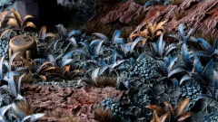 diorama_alien-fern_1600x900.jpg