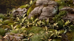 diorama_deer-fern_1_1600x900.jpg