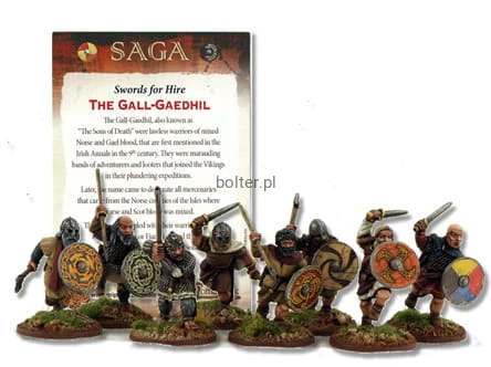 SFH04 Gall-Gaedhill (Sons Of Death) includes Rules Card (8).jpeg
