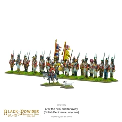 302411004_O_erthehillsandfar-away_BritishPeninsularveterans_1.webp