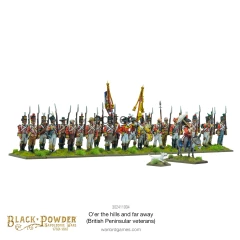302411004_O_erthehillsandfar-away_BritishPeninsularveterans_2.webp