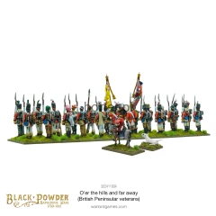 302411004_O_erthehillsandfar-away_BritishPeninsularveterans_3.webp