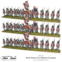 309911005-British-Starter-Army-Waterloo-British-Line-Infantry_grande.jpg