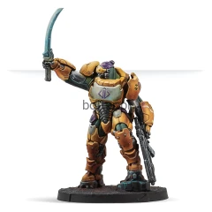 1029A 2 Reinf. Haetae Unit (HMG).jpg