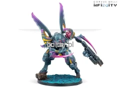 reinf-caskuda-1.webp