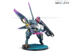 reinf-caskuda-2.webp