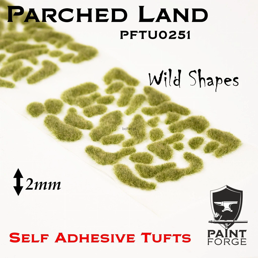 PFTU0251 WILD Parched Land.jpg