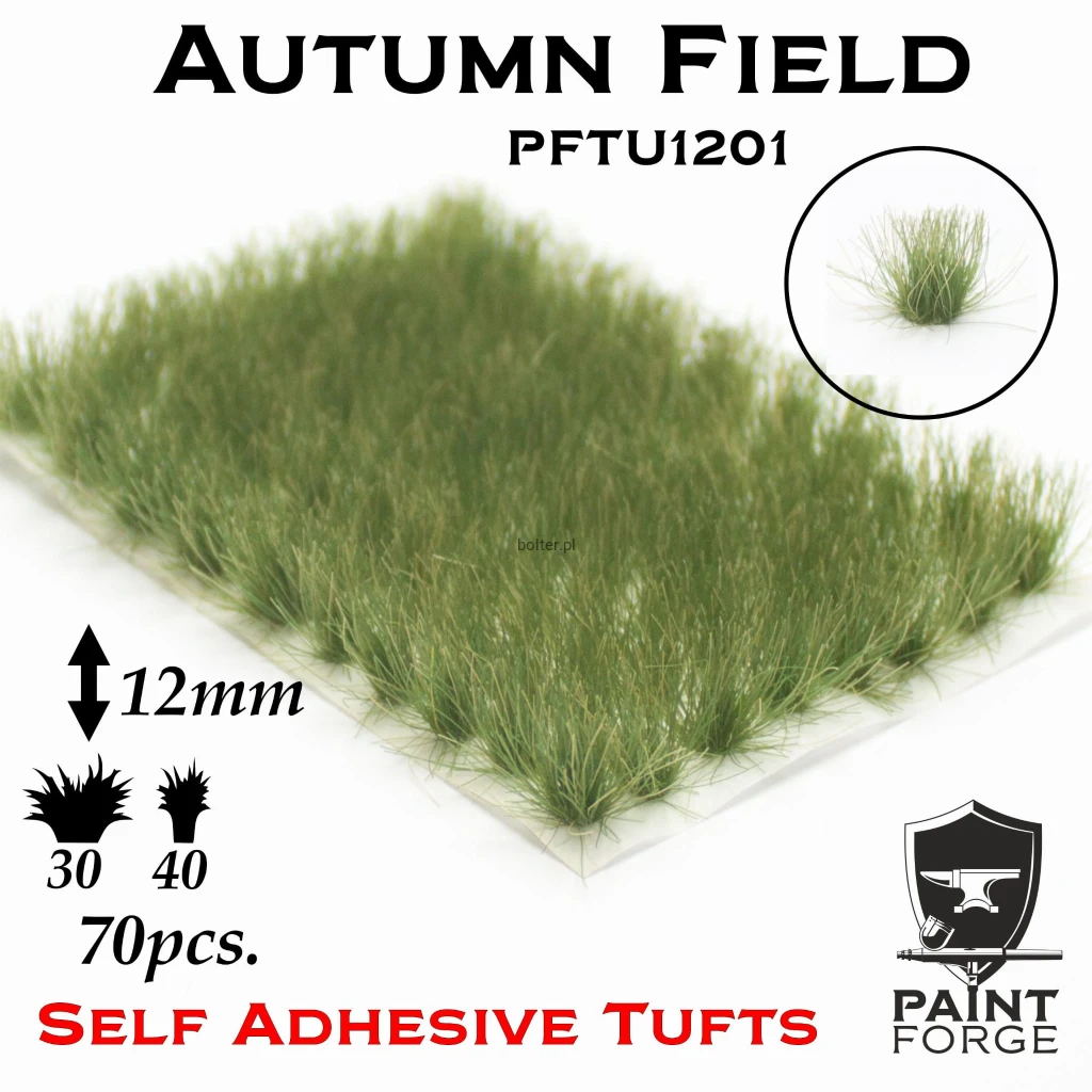 PFTU1201 Autumn Field.jpg