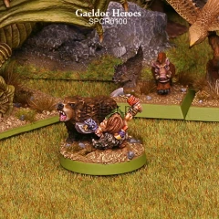 SPCR0100_GaeldorHeroes07.jpg