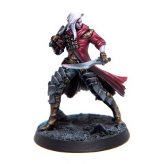 swashbuckler.jpg