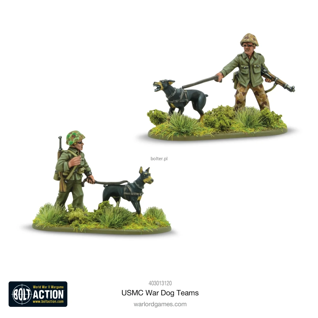 403013120_USMCWarDogTeams01.webp
