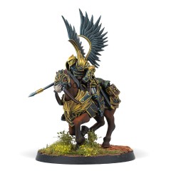 W0021B-1 Black Angels Repo 2 (Male).jpg