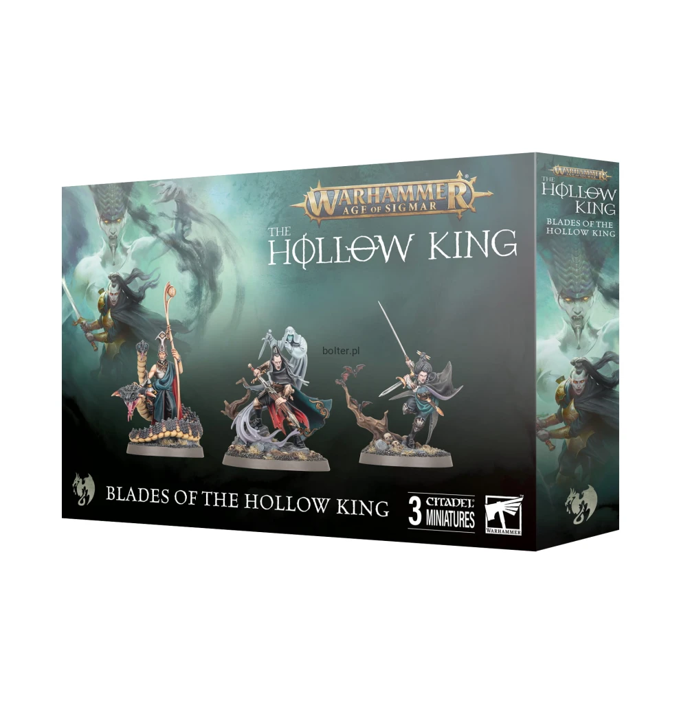 https___trade.games-workshop.com_assets_2025_05_99120207175_BLBladesoftheHollowKingNarrativeSet5.jpg