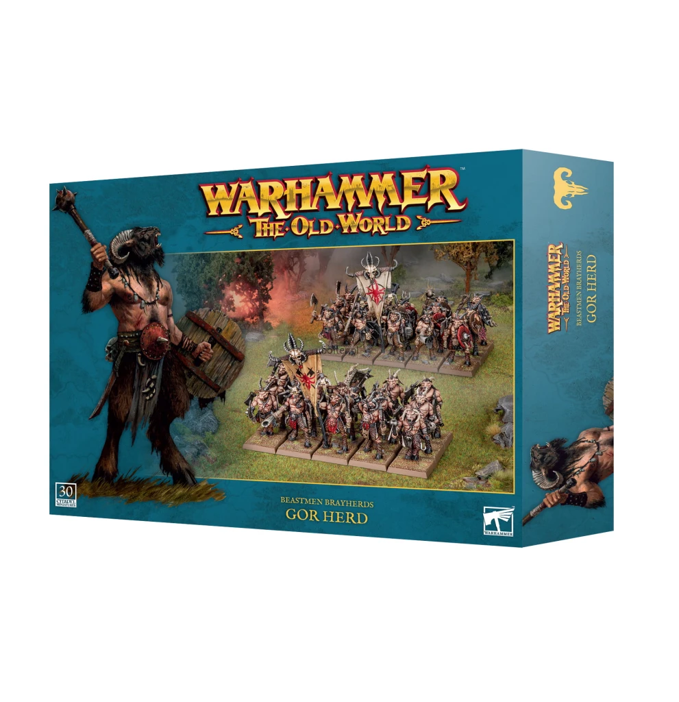 https___trade.games-workshop.com_assets_2025_05_99122716002_TOWBBGorHerd03.jpg