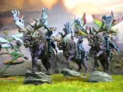 Weaver Courts Gemred Knights Experiential 2.jpeg