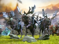 Weaver Courts Gemred Knights Experiential.jpeg