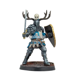 W0058C Feudom Foot Knights Repo 3 (Male).png