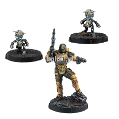281360-1199 Gui Feng Xi Zhuang (Combi Rifle) CONJUNTA.png